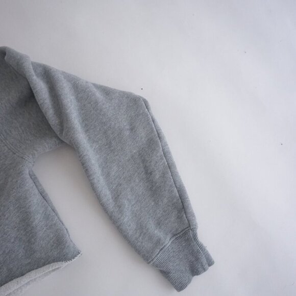 Aritzia TNA Grey Cropped Hoodie Cotton Sweatshirt Sweater XS - Picture 10 of 12
